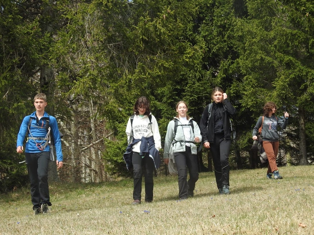 slivnica1