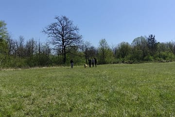 ISKANJE